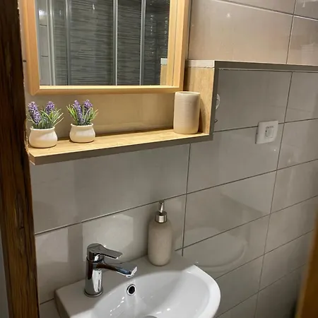Apartment Pocitniska Hisa Lily *